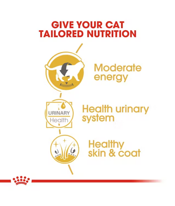 Royal Canin Wet Cat Food British Shorthair 85g