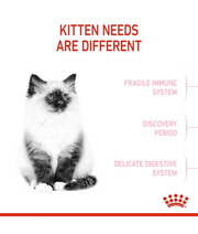 Royal Canin Kitten 2kg-4kg