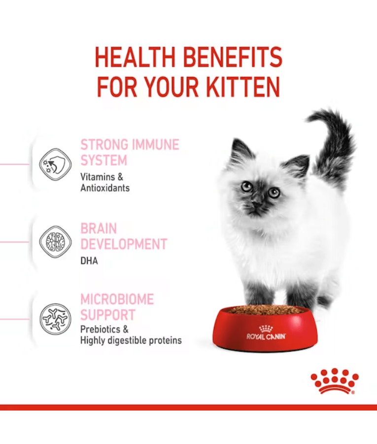 Royal Canin Kitten 2kg-4kg