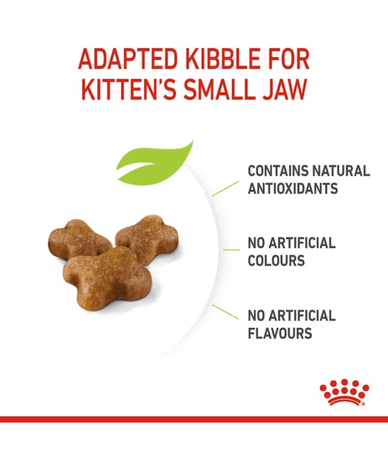 Royal Canin Kitten 2kg-4kg