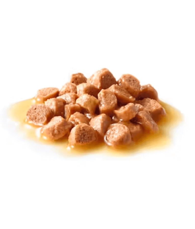 Royal Canin - Kitten Wet Food In Gravy 85g