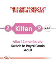 Royal Canin - Kitten Wet Food In Gravy 85g