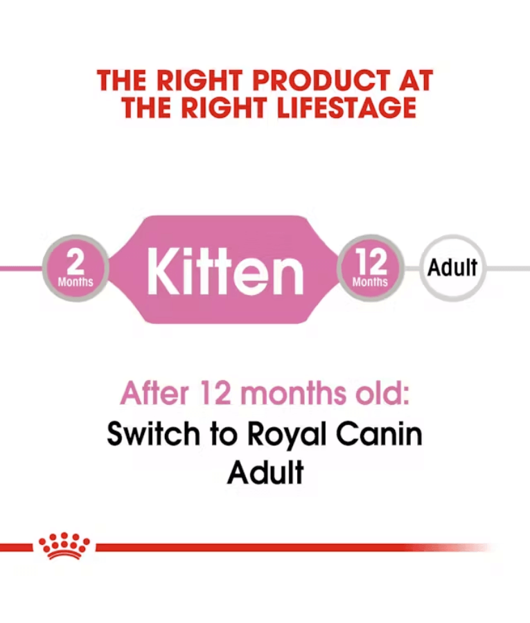 Royal Canin - Kitten Wet Food In Gravy 85g