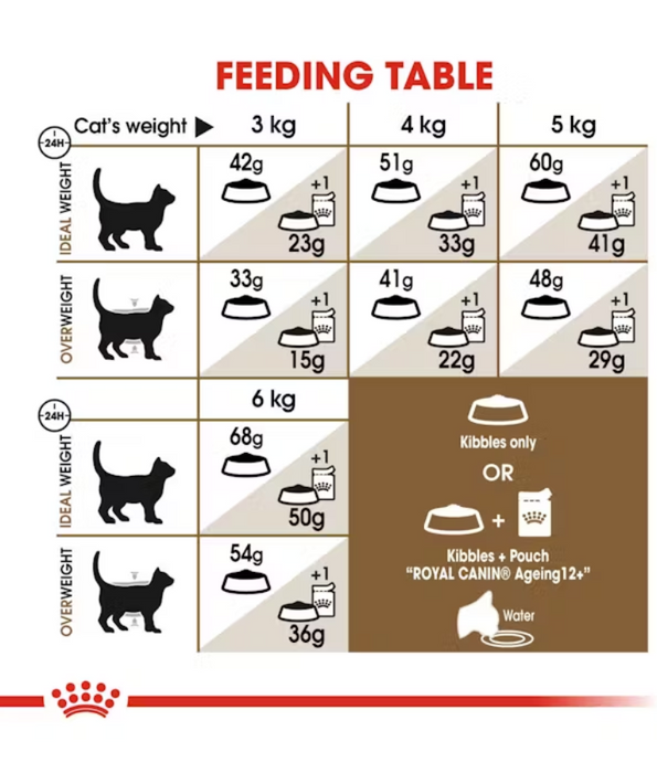 Royal Canin Cat Ageing +12 2kg