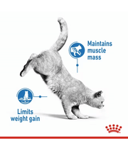 Royal Canin Cat Light 1.5-3KG