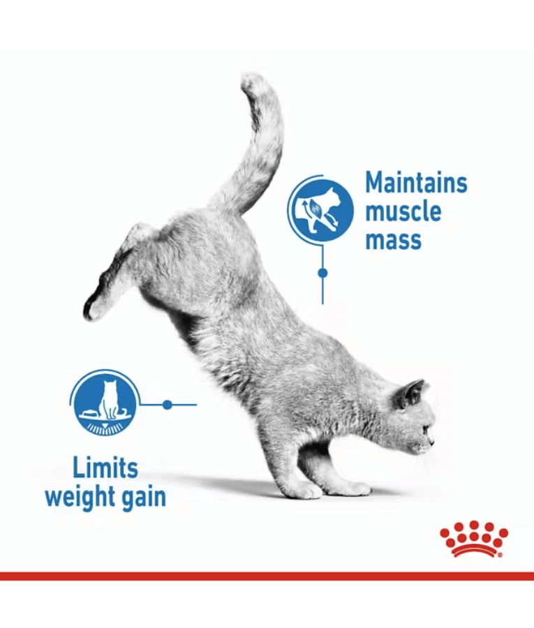 Royal Canin Cat Light 1.5-3KG