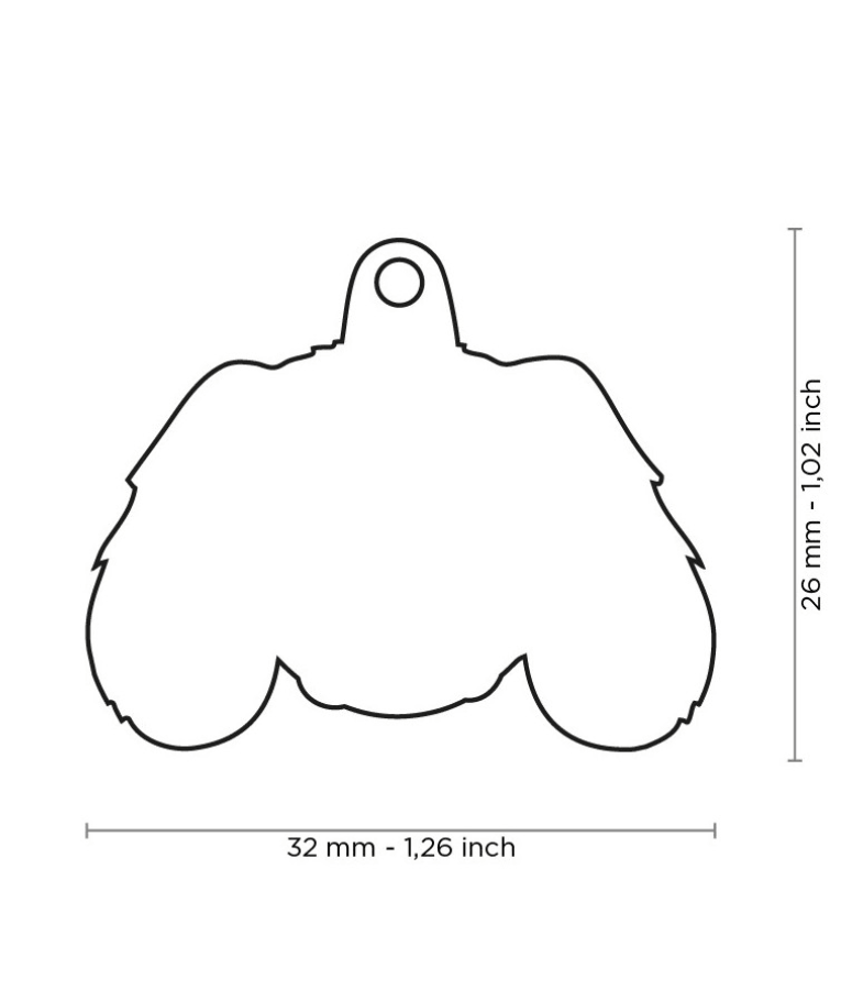 ID Tag - Black and Tan King Charles Cavalier