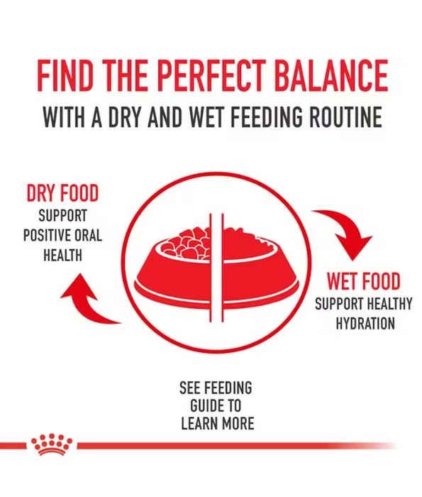 Royal Canin - German Shepherd Adult Dry Dog Food 11kg