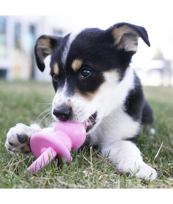 Kong - Puppy Binkie Medium