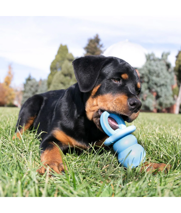 Kong - Puppy Binkie Medium