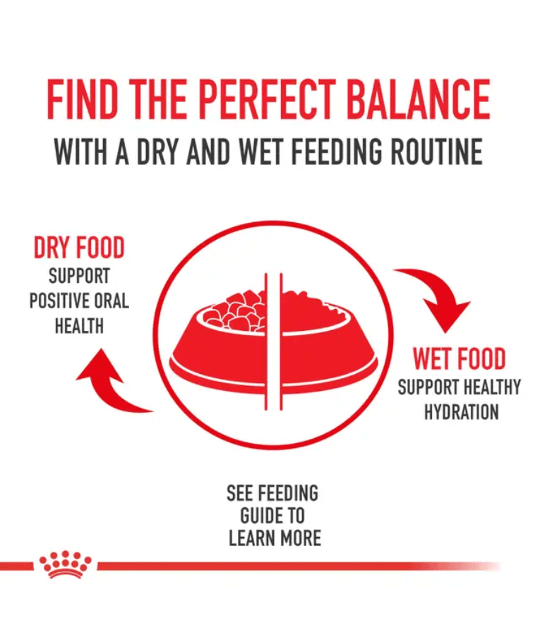 Royal Canin - Golden Retriever Adult Dry Dog Food With Chicken - 12kg