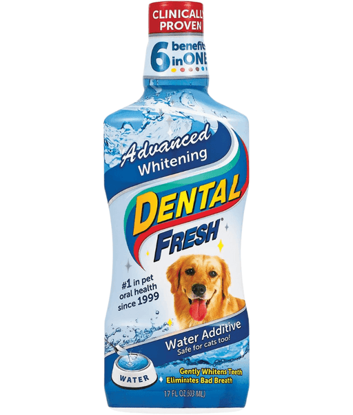 Synergy Labs - Dental Fresh, Advanced Whitening, Breath Freshening, Oral Health Support - 503mL