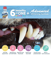 Synergy Labs - Dental Fresh, Advanced Whitening, Breath Freshening, Oral Health Support - 503mL