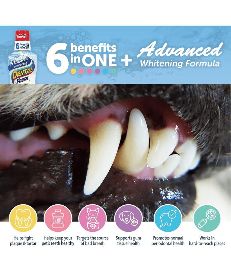 Synergy Labs - Dental Fresh, Advanced Whitening, Breath Freshening, Oral Health Support - 503mL