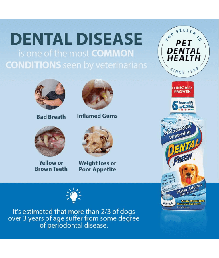 Synergy Labs - Dental Fresh, Advanced Whitening, Breath Freshening, Oral Health Support - 503mL