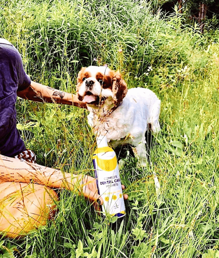 Simple Pet Supplements Complete Dental Care 473ml
