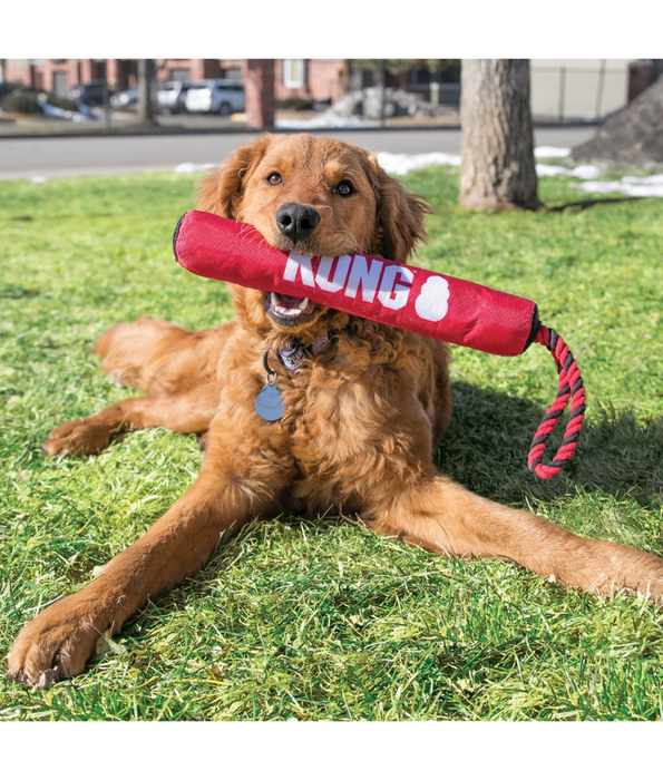Kong - Signature Stick