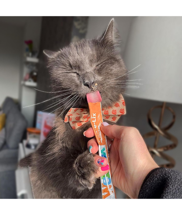 Webbox - Lick-e-Lix Creamy Chicken Cat Treats 5 sachets