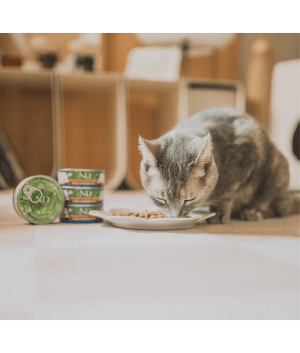 Farmina - N&D Prime, Chicken and Pomegranate Grain Free Adult Wet Cat Food In Broth 70g