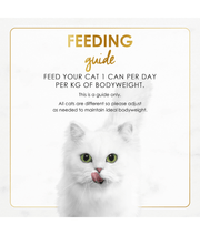 Purina - Fancy Feast Gravy Lovers Beef Feast in Roasted Beef Flavour in Gravy Gourmet Cat Food 85g can