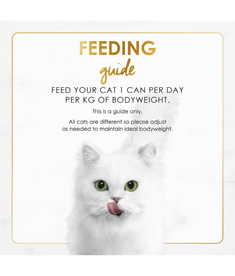 Purina - Fancy Feast Gravy Lovers Beef Feast in Roasted Beef Flavour in Gravy Gourmet Cat Food 85g can