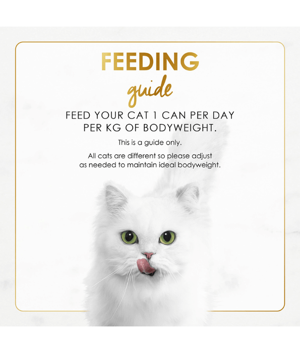 Purina - Fancy Feast Gravy Lovers Beef Feast in Roasted Beef Flavour in Gravy Gourmet Cat Food 85g can