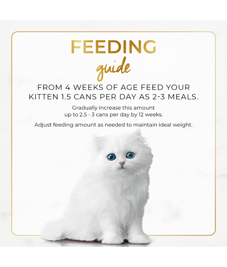 Purina - Fancy Feast Purina Grilled Chicken Kitten Wet Cat Food 85g