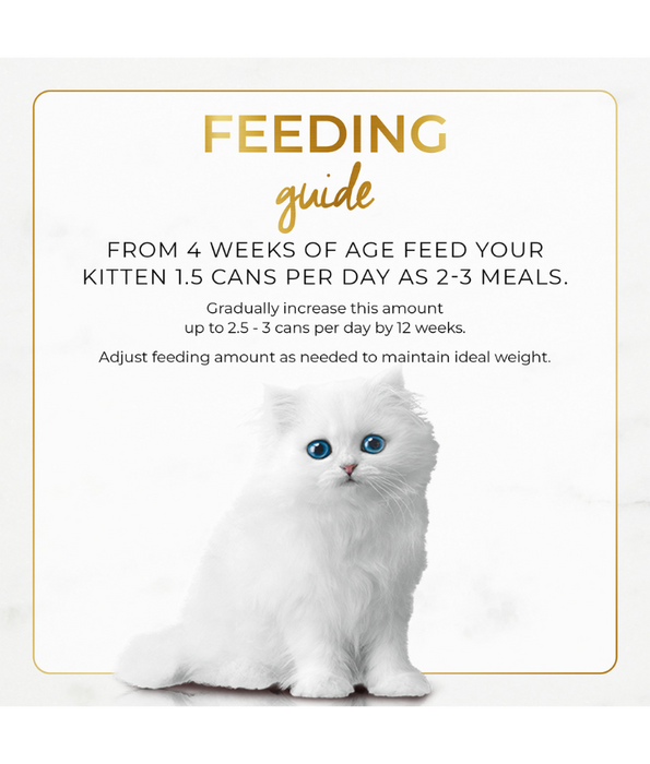 Fancy Feast Purina Grilled Chicken Wet Cat Food 85g