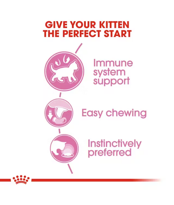 Royal Canin - Kitten Wet Food In Jelly 85g