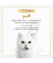 Feeding guide for cats, recommending 1 can per day per kg of bodyweight, with a playful white cat.