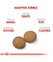 Royal Canin - Medium Adult Dry Dog Food 15kg-4kg
