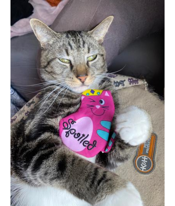 Kong - Refillables Purrsonality Spoiled