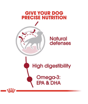 Royal Canin - Medium Adult Dry Dog Food 15kg-4kg