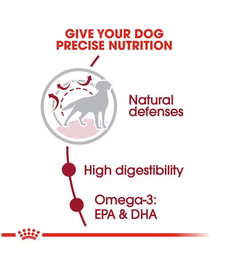 Royal Canin - Medium Adult Dry Dog Food 15kg-4kg