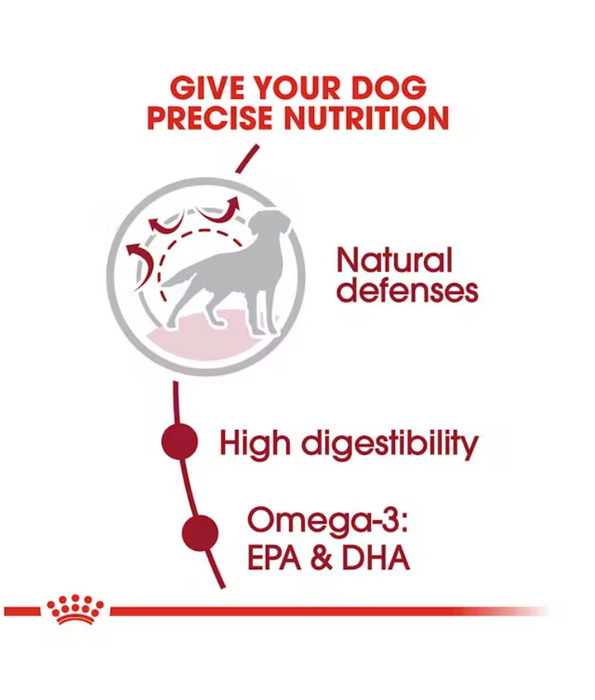 Royal Canin - Medium Adult Dry Dog Food 15kg-4kg