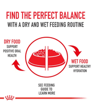 Royal Canin - Medium Adult Dry Dog Food 15kg-4kg