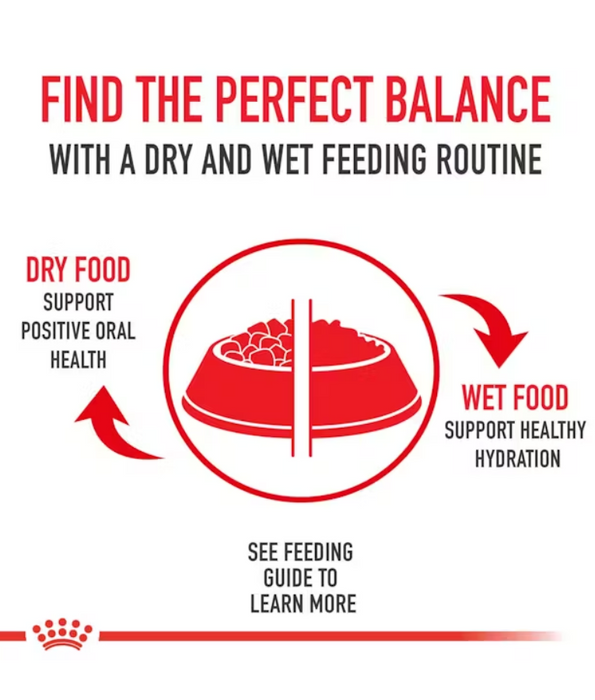 Royal Canin - Medium Adult Dry Dog Food 15kg-4kg