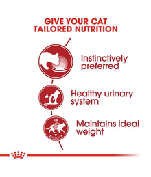 Royal Canin Wet Cat Food Instinctive Loaf 85g