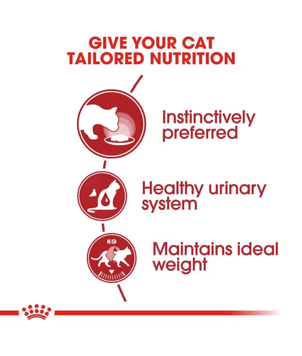 Royal Canin Wet Cat Food Instinctive Loaf 85g
