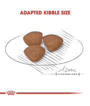 Royal Canin Mini Puppy 2kg-8kg