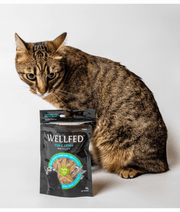 Wellfed – Monoprotein Fish & Catnip Mini Fillets – Grain & Sugar Free - 50g