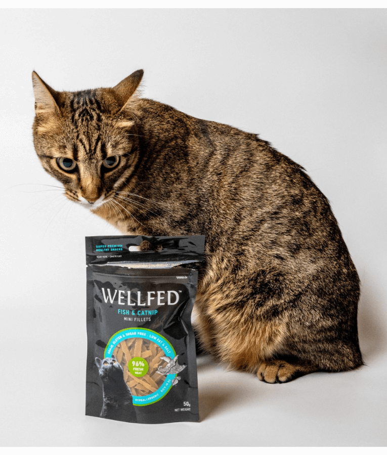 Wellfed – Monoprotein Fish & Catnip Mini Fillets – Grain & Sugar Free - 50g