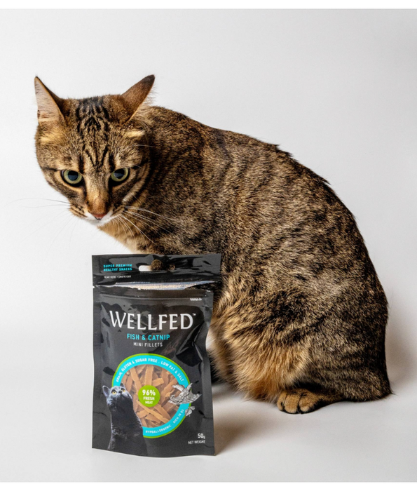 Wellfed – Monoprotein Fish & Catnip Mini Fillets – Grain & Sugar Free - 50g