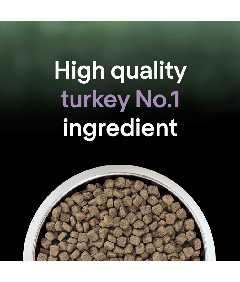 Purina - Pro Plan, LiveClear, Kitten Dry Cat Food, Turkey, Allergen-Reducing Formula, High Protein Growth & Immunity Support - 1.4 kg