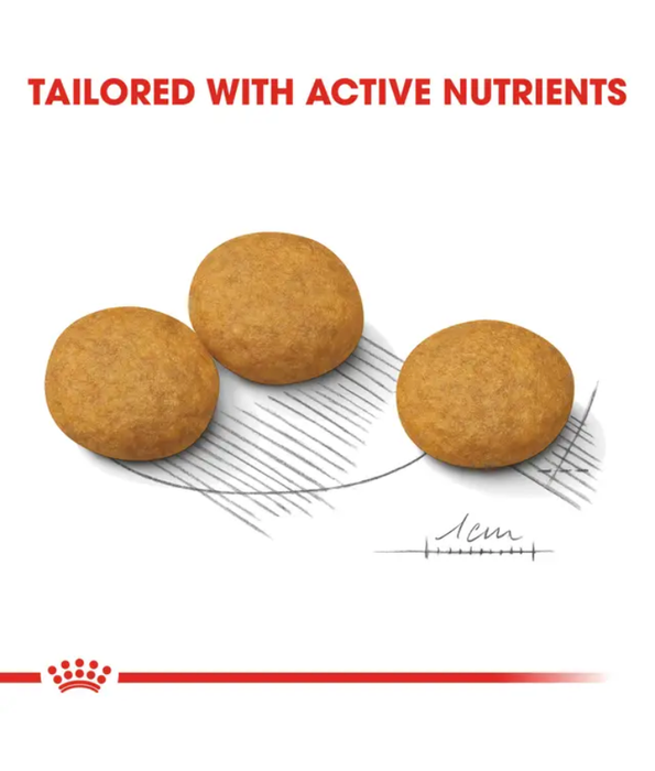 Royal Canin - Dermacomfort, Medium Breed Adult Dry Dog Food, Reduced Allergen Formula, with Omega 3&6 for Sensitive Skin - 3 kg