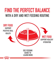 Royal Canin - German Shepherd Puppy, Dry Dog Food With Chicken - 12kg