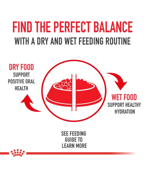 Royal Canin - German Shepherd Puppy, Dry Dog Food With Chicken - 12kg