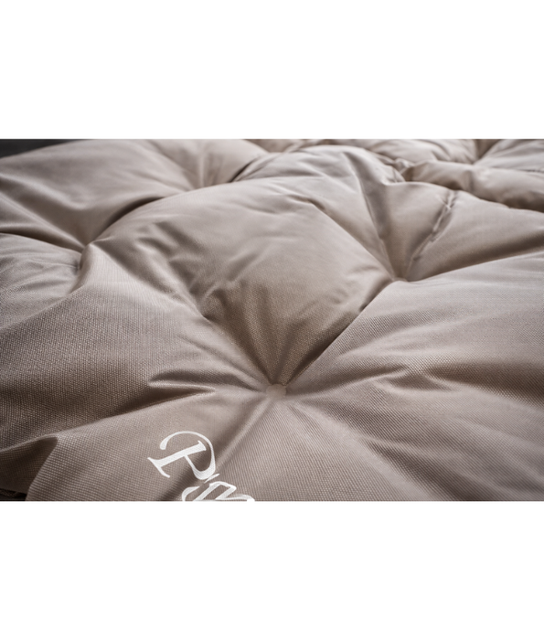 King Queen - Paw Prints Rectangular Pet Mat – Washable Fabric, Soft Cushion & Waterproof – S, L