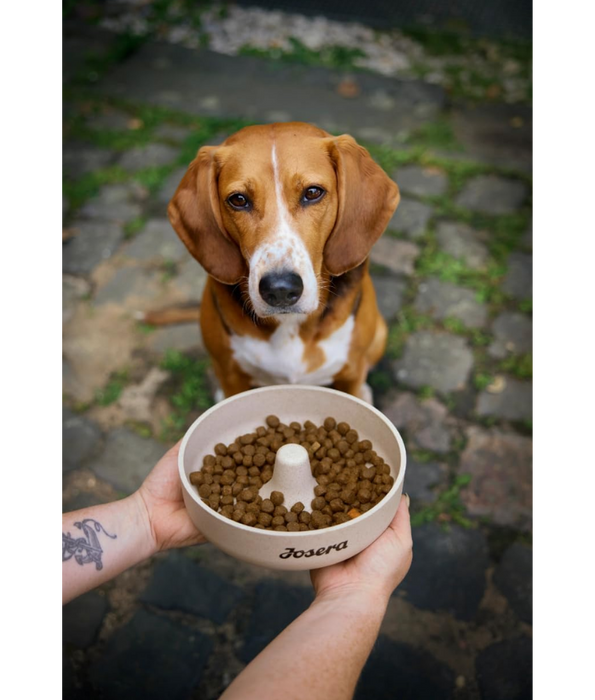 Josera - Lamb & Rice Dry Dog Food – Gluten-Free for Gentle Digestion – 12.5 kg