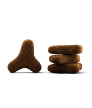 Josera - Help Hypoallergenic Cat Dry Food – Grain-Free Salmon Monoprotein for Food Allergies – 2 kg kibbles in different shapes.